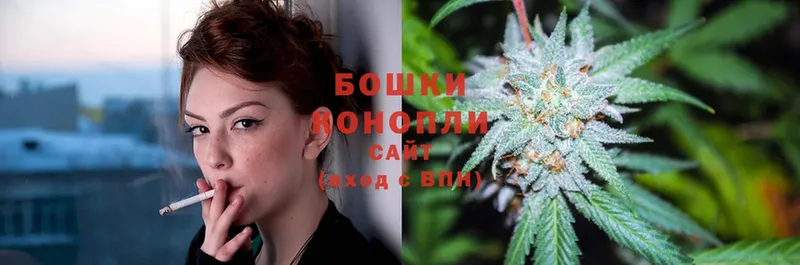 Бошки марихуана THC 21%  Цивильск 